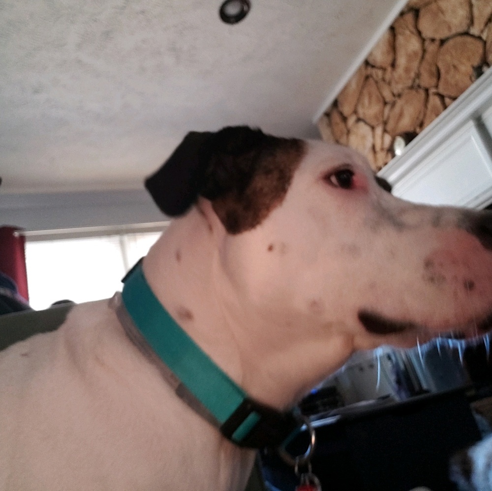 Meet your Posher, Mi